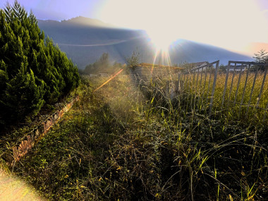 خرید زمین 1700 متر در چلک نوشهر خرید زمین 1700 متر در چلک نوشهر